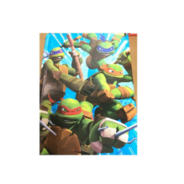 Diario Scuola - Tartarughe Ninja