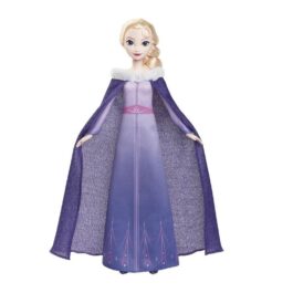 Frozen Elsa Celebration